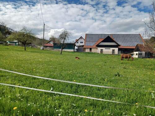 Die Natur vor der Haustüre - 