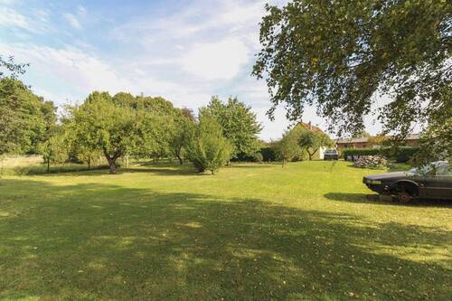 Garten mit Obstbäumen - 