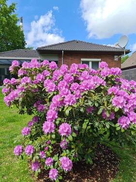 Bild 1 - Provisionsfreier Bungalow an der Nordseeküste: Barrierefrei, Kernsaniert & Voll Möbliert