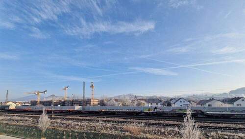 20260122_101607.jpg - 