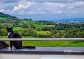 Blick zum Schönberg und Freiburg.jpg - 