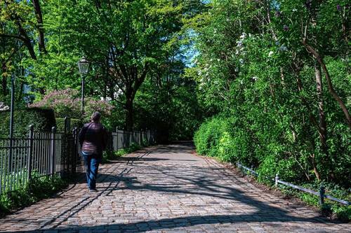 Volkspark_April2024_ASE_5588 - 