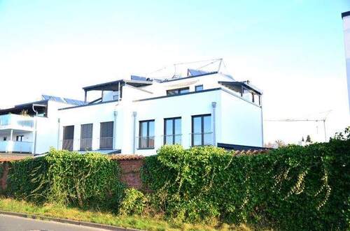 Südansicht - 5 Zimmer Doppelhaushälfte zum Kaufen in Rastede