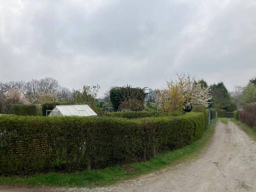 Foto.jpeg - Großes Grundstück mit Pachtgärten provisionsfrei zu verkaufen