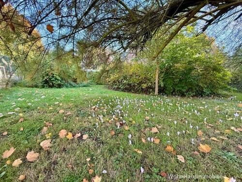 Frühlingserwachen - Neubaupotential in Panketal auf teilbarem Grundstück an der Dranse