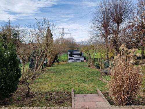 Garten mit Gartenhaus - 