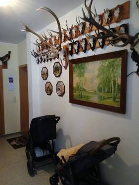 2 - 2 Zimmer Etagenwohnung in Haselbachtal / Reichenbach