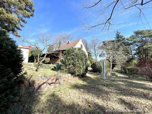 Über 1000m2 Garten - 3 Zimmer Einfamilienhaus in Zeuthen