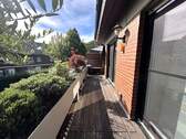 Loggia - 