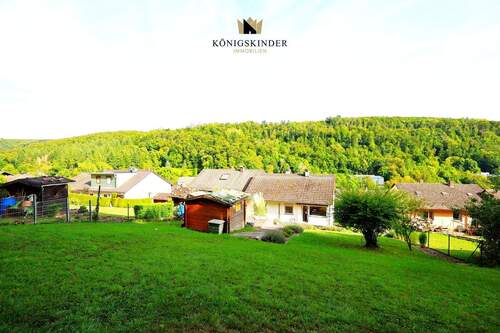 Wenn Sie hier wohnen, wohnen Sie gesund. - 4 Zimmer Einfamilienhaus zum Kaufen in Neckarzimmern