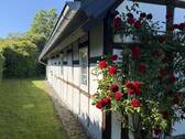 Details - 