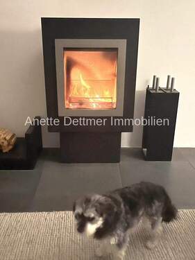 14.1 Wohnzimmer Kamin - 