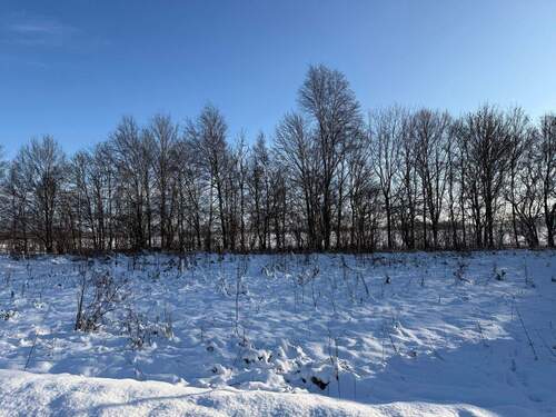 Grundstück - Grundstück in Barum