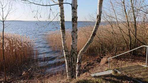 am Senftenberger See - 