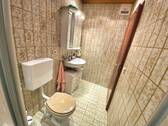 Gäste-WC mit Dusche im EG - 