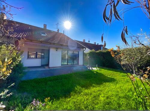 Gartenimpressionen - 