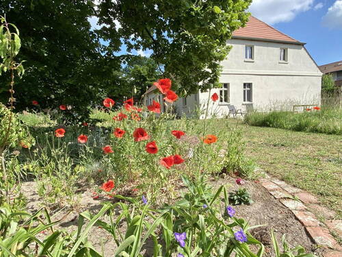 Bild 12 - 