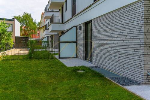 Garten hinten - 