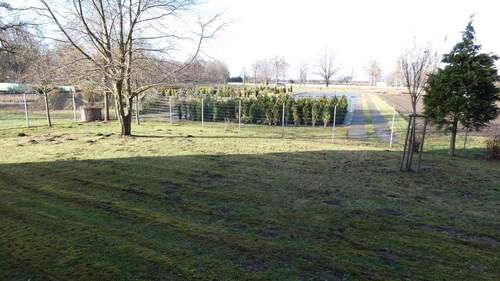 Schlafzimmer - Ausblick zur Baumschule Kmetsch - 