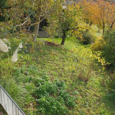 Blick in den Garten - 