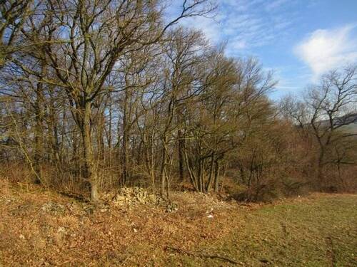 Bild 13 - Grundstück zum Kaufen in Widdern