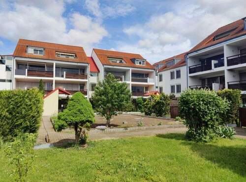 IMG_20260115_083134 - 