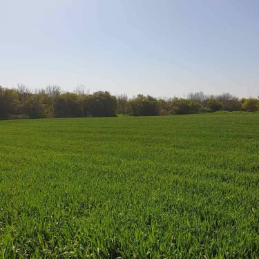 Bild 3 - 1 Zimmer Mehrfamilienhaus, Wohnhaus in Bilo