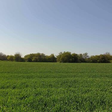Bild 4 - Mehrfamilienhaus, Wohnhaus mit 1,00 m&sup2; in Bilo zum Kaufen