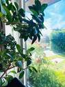 .. viel Licht ! - 