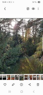 Bild 3 - Büro in Berlin-Grunewald