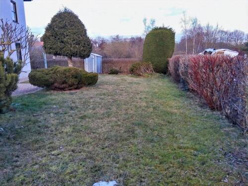 Blick in den Garten - 
