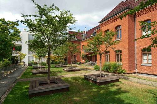 Bild 11 - 