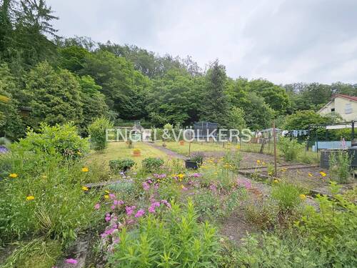 Garten - 