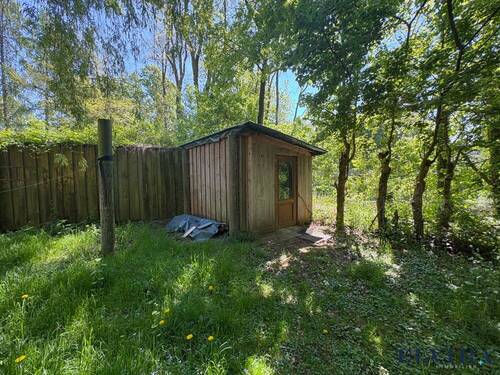Schuppen - 