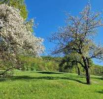 Traumhaftes Baugrundstück in idyllischer, sehr ruhiger Lage in Jena