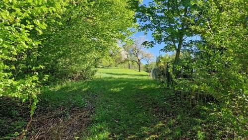 Außenseite Garten - Mehrfamilienhaus, Wohnhaus zum Kaufen in Jena