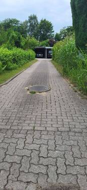 Zufahrt zum Haus - 