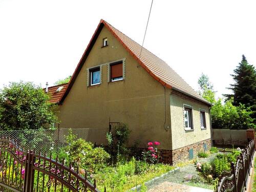 Seitenansicht links - Einfamilienhaus mit 93,50 m&sup2; in Lauchhammer zum Kaufen