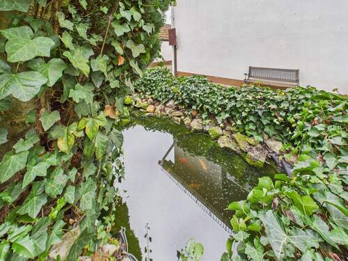 CAM05322G0-PR0017-STILL037.jpg - 