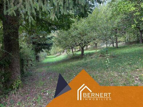 Streuobstwiese unten - 