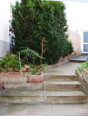 Rückseitige Terrassenansicht - 