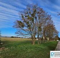 Ca.1,4 ha am südlichen Dorfrand! - Ducherow Schwerinsburg