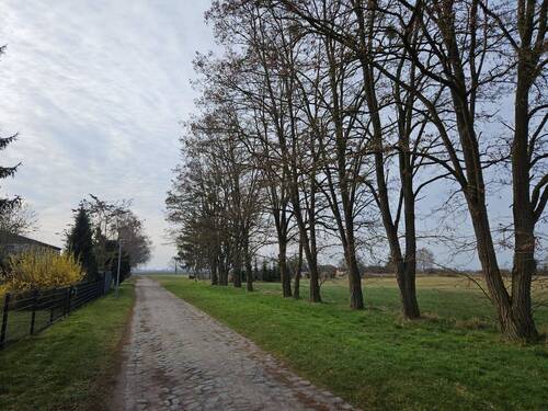 1 Weg am Grundstück.jpg - Grundstück zum Kaufen in Ducherow