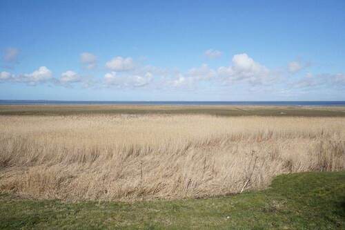 Blick vom Grundstück - 
