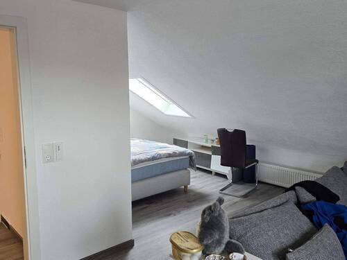 20250417_151659.jpg - 