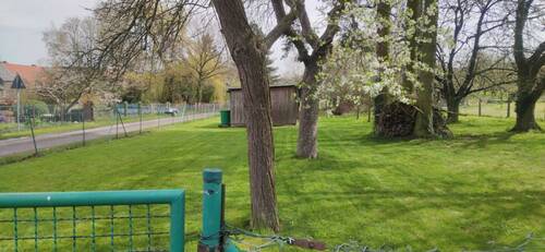 PHOTO-2025-08-10-21-59-46.jpg - 