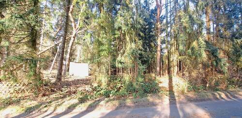 Grundstück mit Baumbestand - 