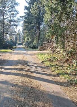 Straße vor dem Grundstück - 