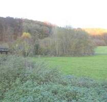 Beverungen - Grundstücke Im Roggenthal