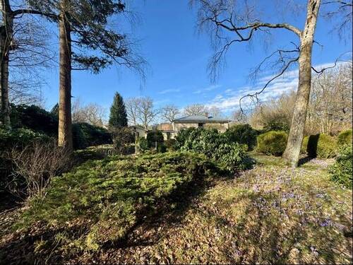 Blick übers Grundstück aufs Haus-1 - 